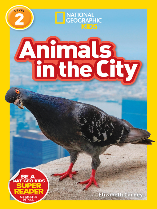 Cover image for Animals in the City